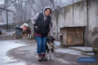 У Кам`янському побудують пункт тимчасового утримання бездомних тварин